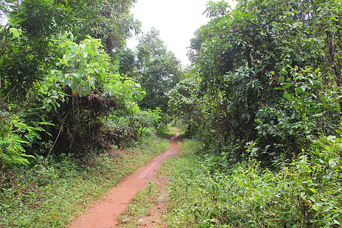 Primarschulhaus Mbilang Adamaoua-Region