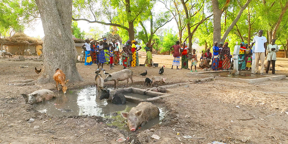 Brunnenbau Brunnenbohrung Afrika Saugut Trinkwasser