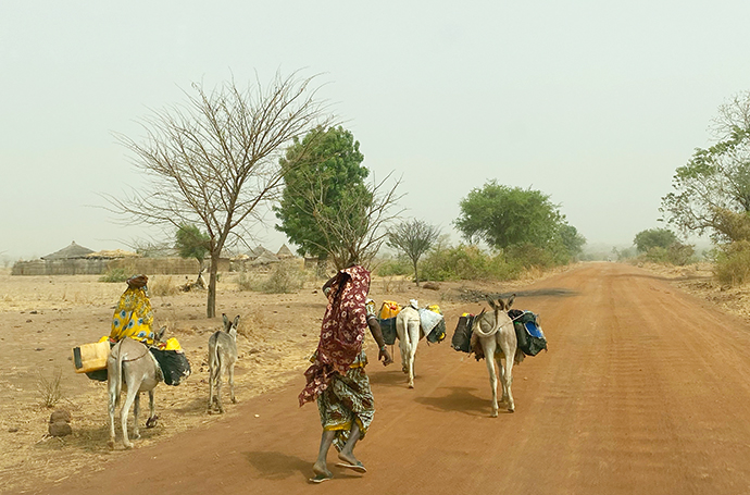 Wassersuche Kamerun Afrika Wassernot Wasserproblem