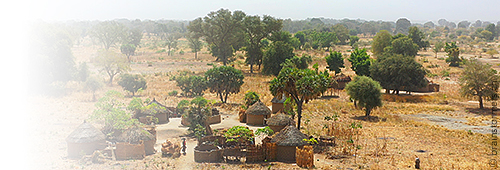 Ashia Kamerun Non-Profit-Verein