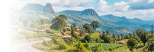 Ashia Kamerun Non-Profit-Verein