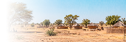 Ashia Kamerun Non-Profit-Verein