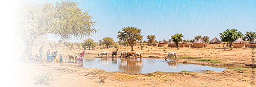 Ashia Kamerun Non-Profit-Verein