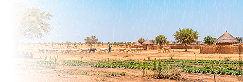 Ashia Kamerun Non-Profit-Verein