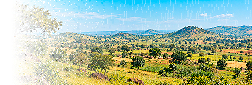 Ashia Kamerun Non-Profit-Verein