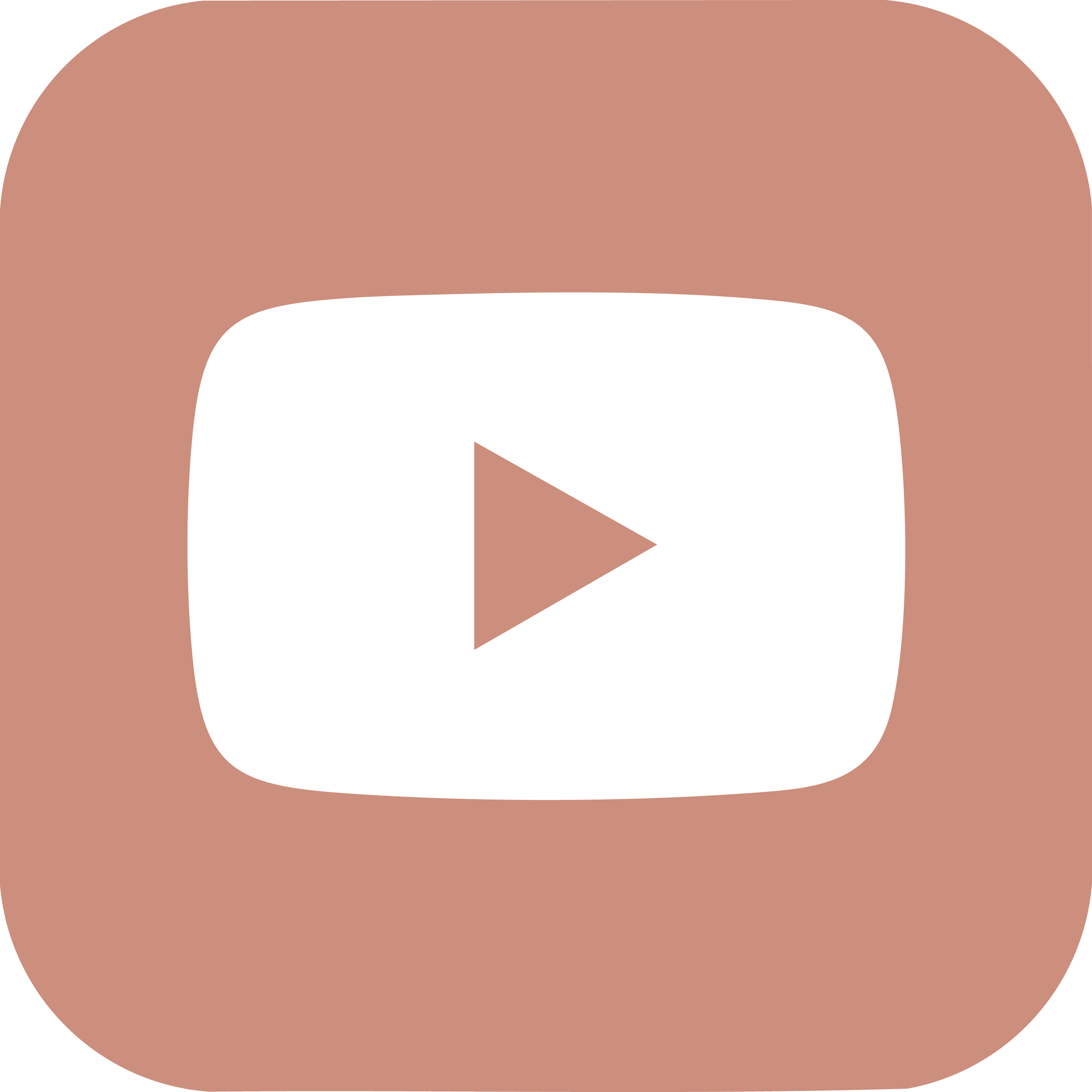 Youtube Logo