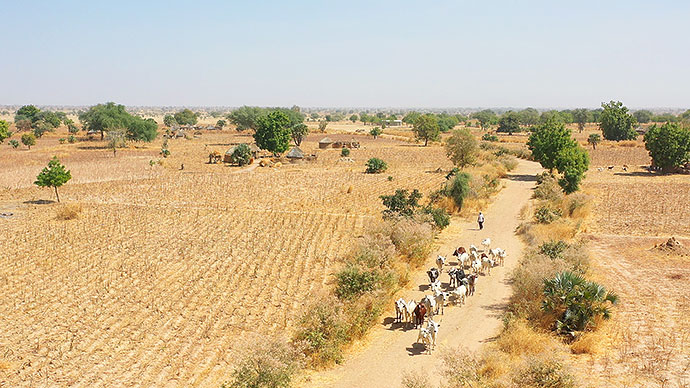 Brunnenbohrung Afrika Wasserprojekt Kamerun Extrême-Nord