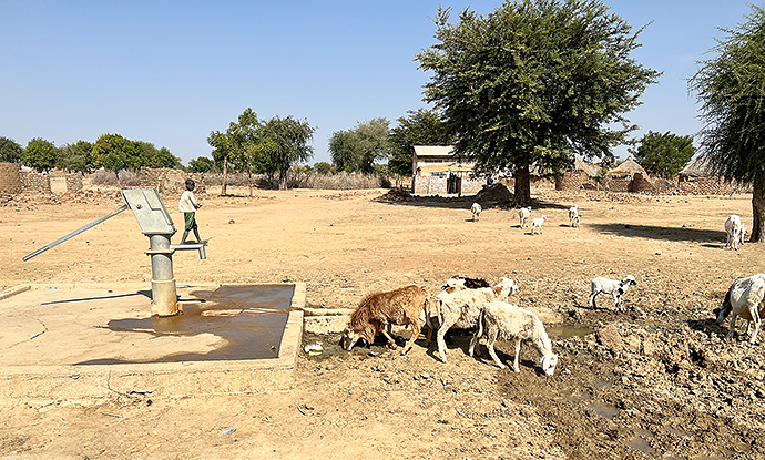 Brunnenbohrung Afrika Wasserprojekt Kamerun Extrême-Nord